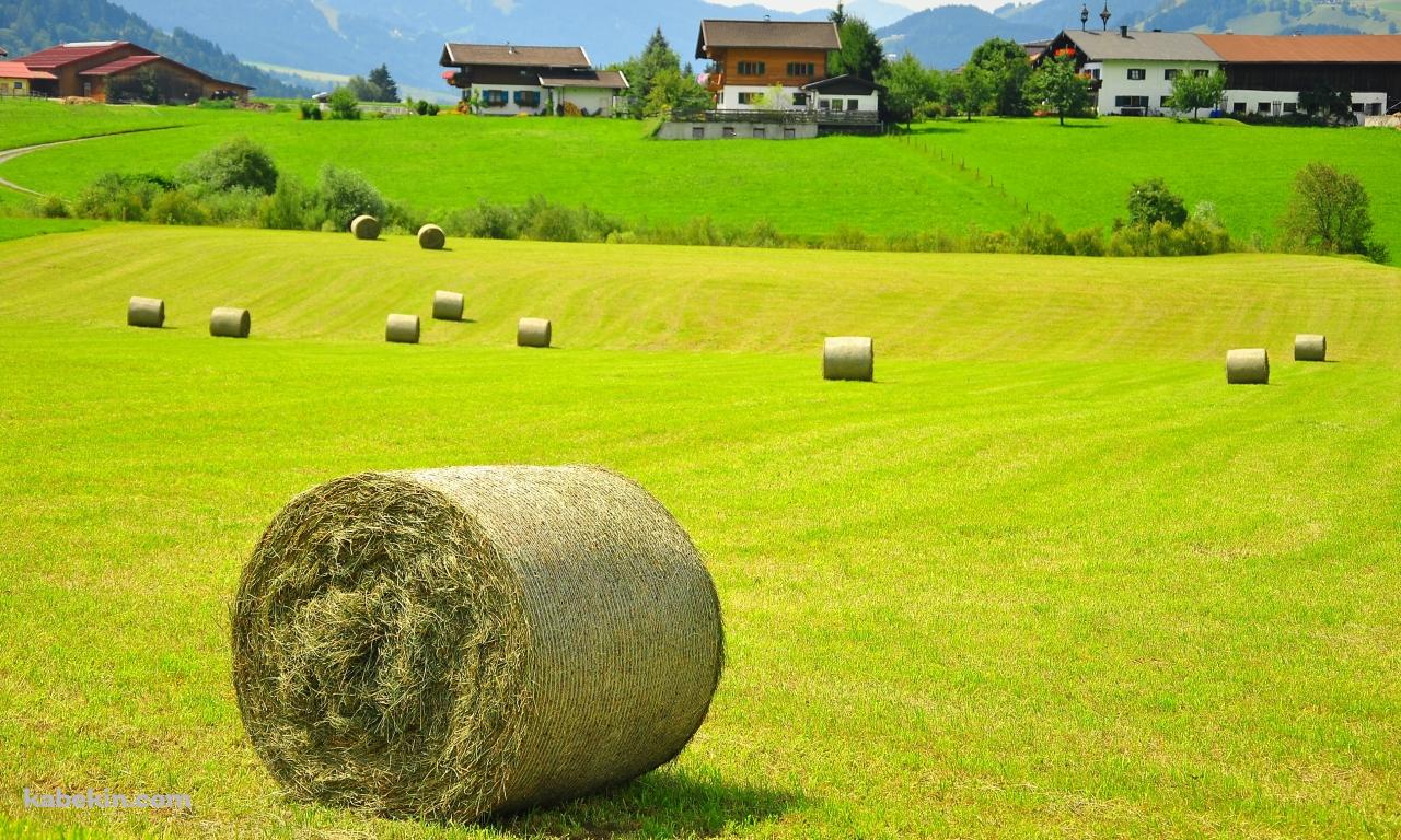 のどかな田舎の壁紙(1280px x 768px) 高画質 PC・デスクトップ用