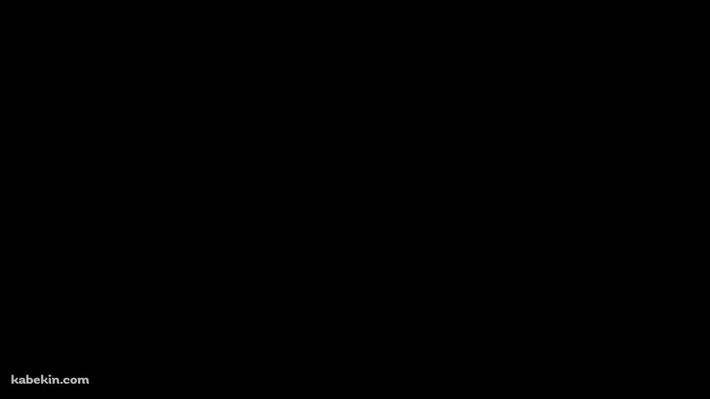 黒一色の壁紙(1391px x 783px) 高画質 PC・デスクトップ用