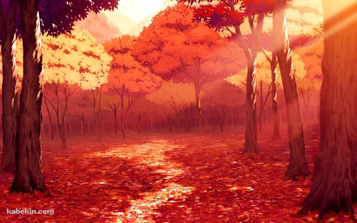 光射す紅葉 秋 木漏れ日の壁紙(1152px x 720px) 高画質 PC・デスクトップ用