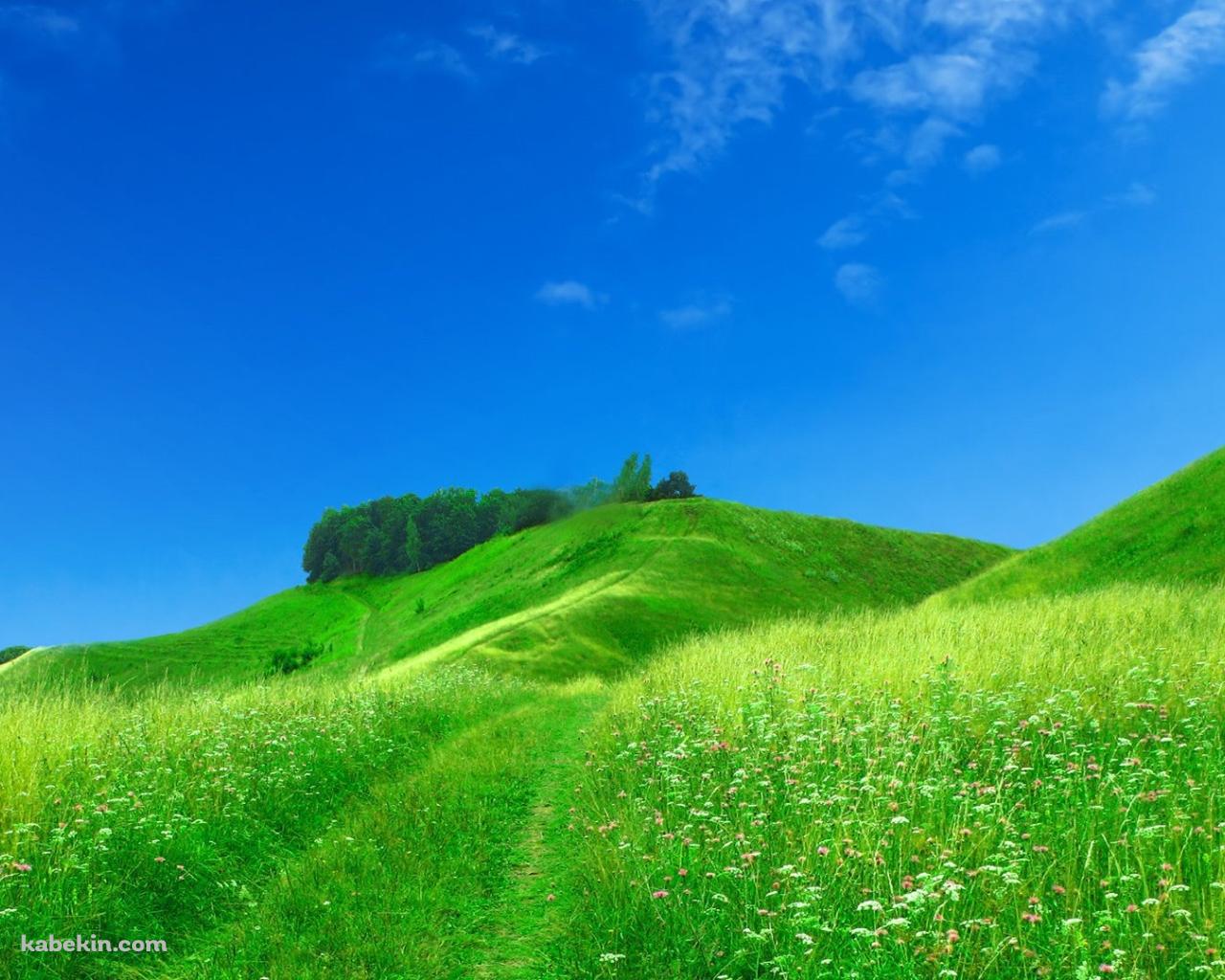 緑の草原の壁紙(1280px x 1024px) 高画質 PC・デスクトップ用