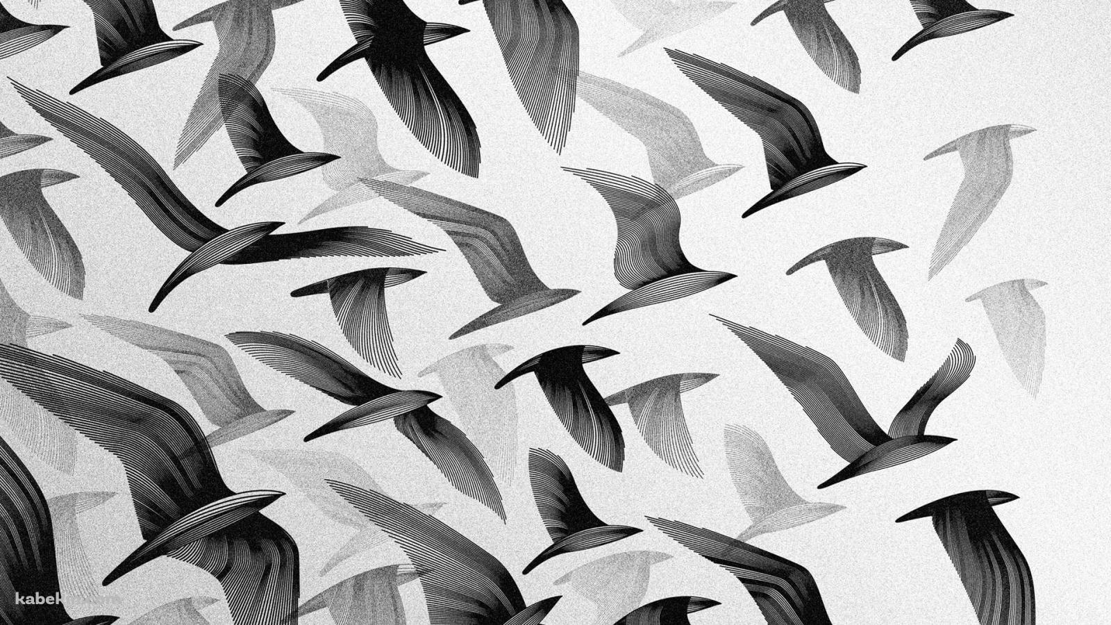 綺麗な鳥のアートの壁紙(1600px x 900px) 高画質 PC・デスクトップ用