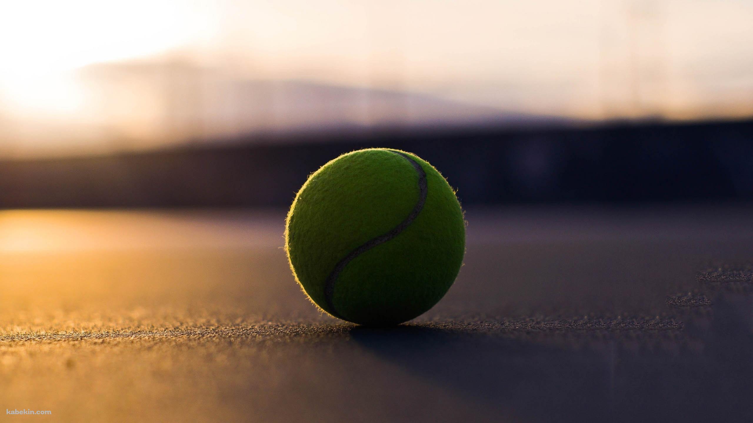 tennis ballの壁紙(2560px x 1440px) 高画質 PC・デスクトップ用