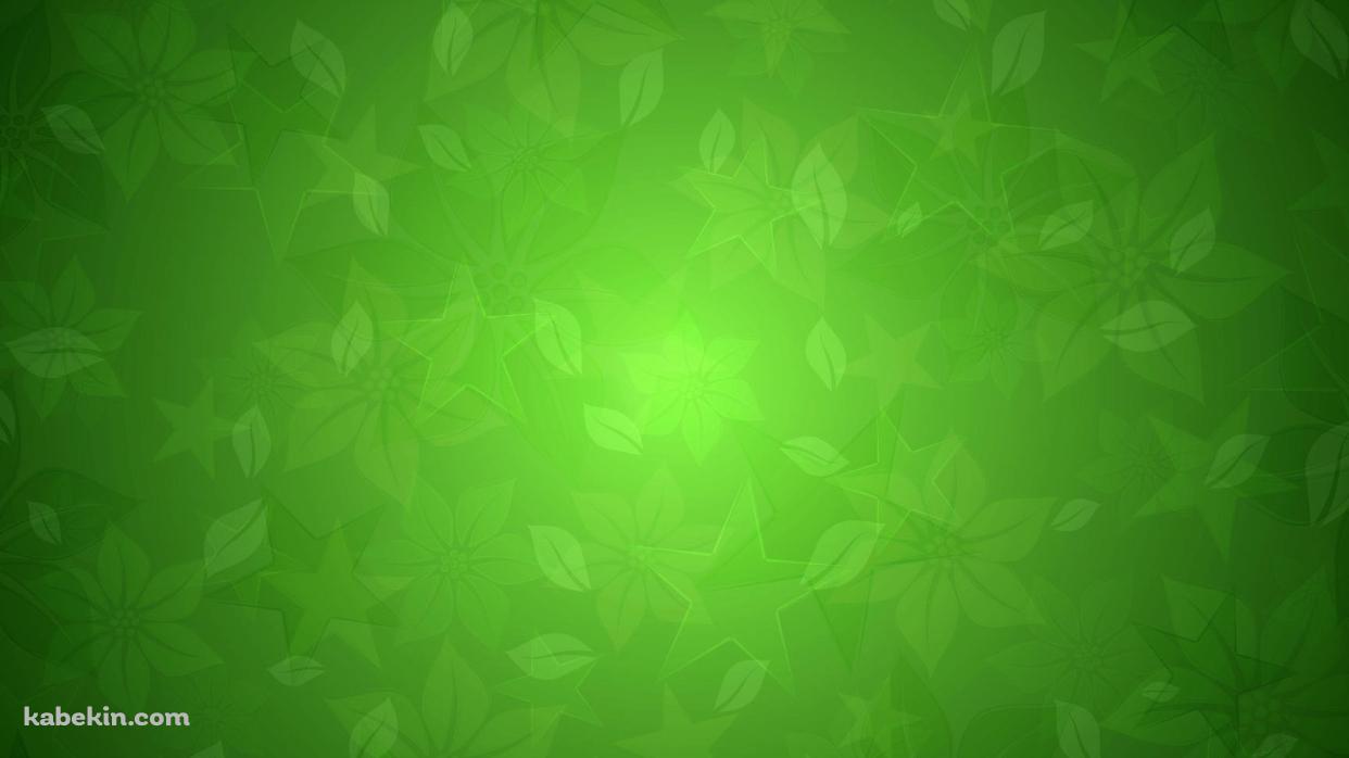 緑 花 フローラルの壁紙(1242px x 698px) 高画質 PC・デスクトップ用