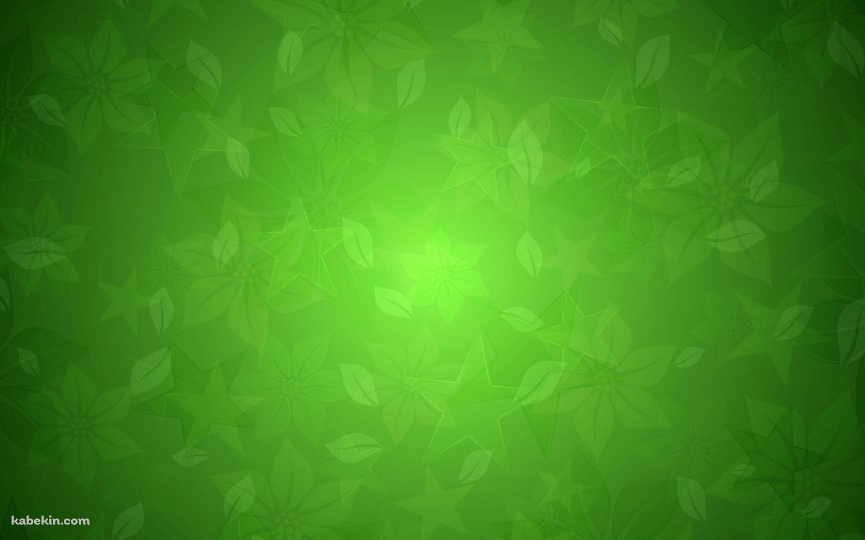 緑 花 フローラルの壁紙(1680px x 1050px) 高画質 PC・デスクトップ用