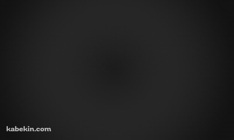 シンプルな黒のドットの集合体の壁紙(800px x 480px) 高画質 PC・デスクトップ用