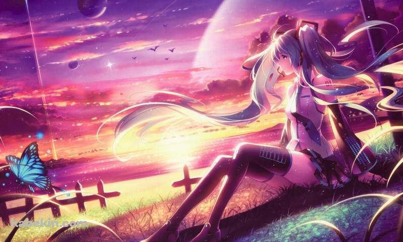 初音ミク 青い蝶 夕焼けの壁紙(800px x 480px) 高画質 PC・デスクトップ用