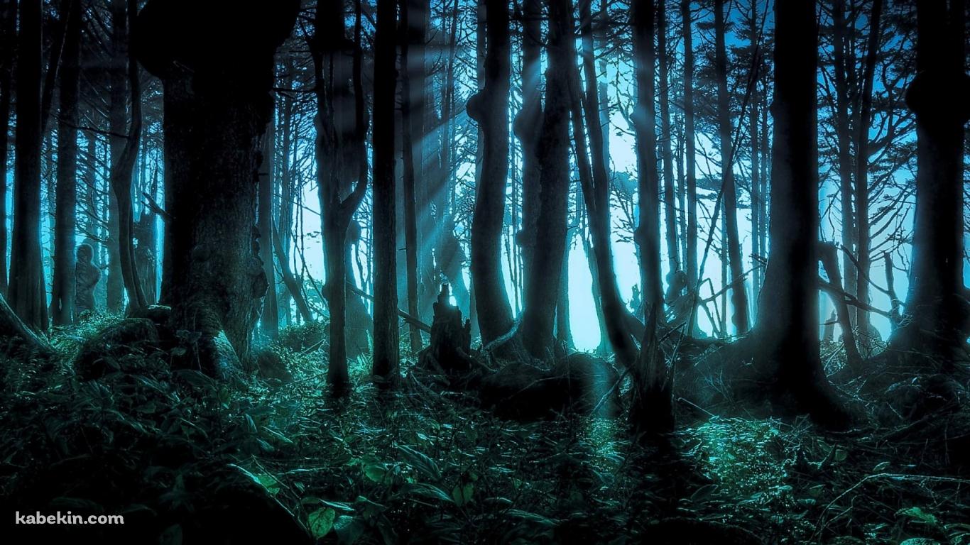 ほの暗い森の壁紙(1366px x 768px) 高画質 PC・デスクトップ用