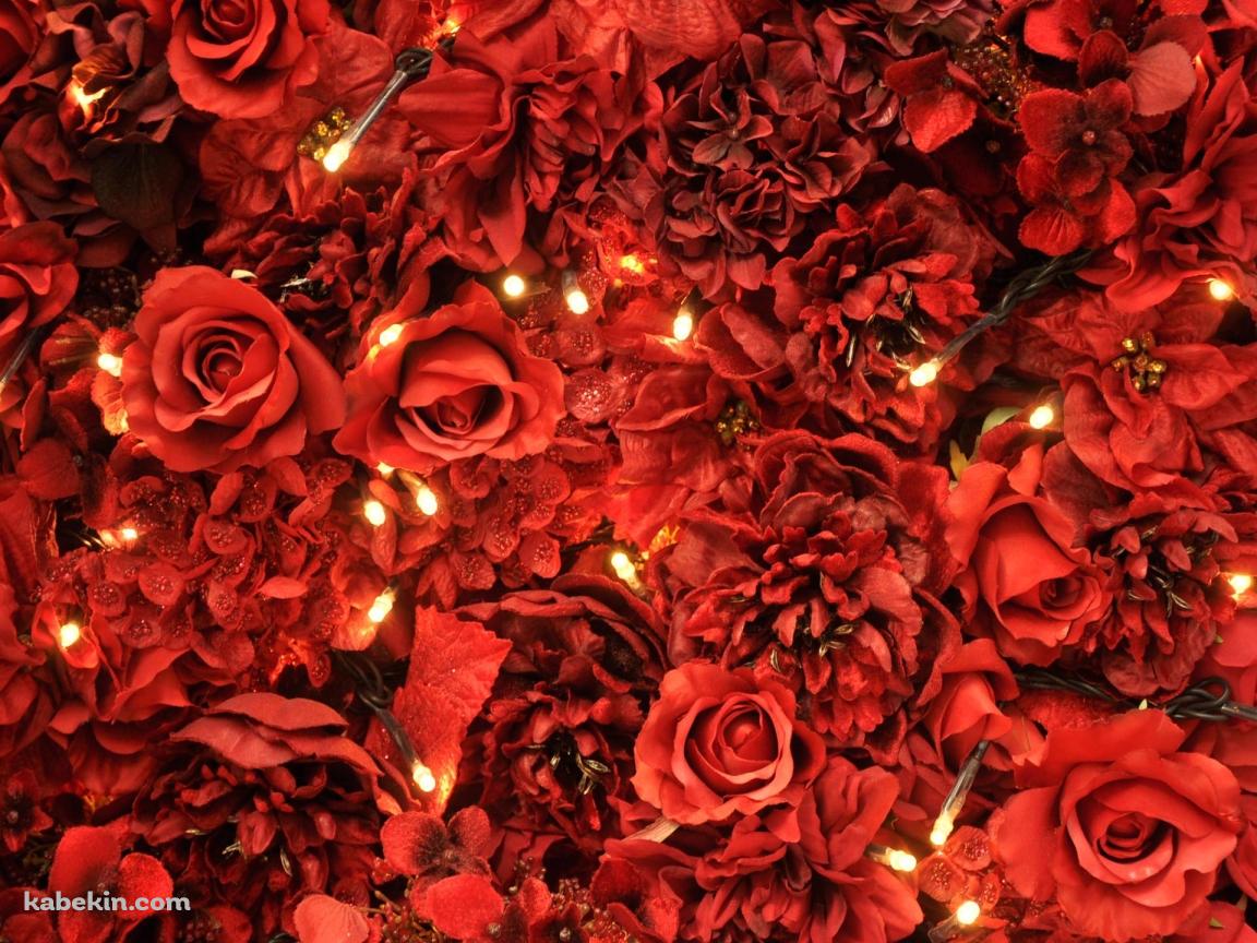 赤い薔薇の絨毯の壁紙(1152px x 864px) 高画質 PC・デスクトップ用