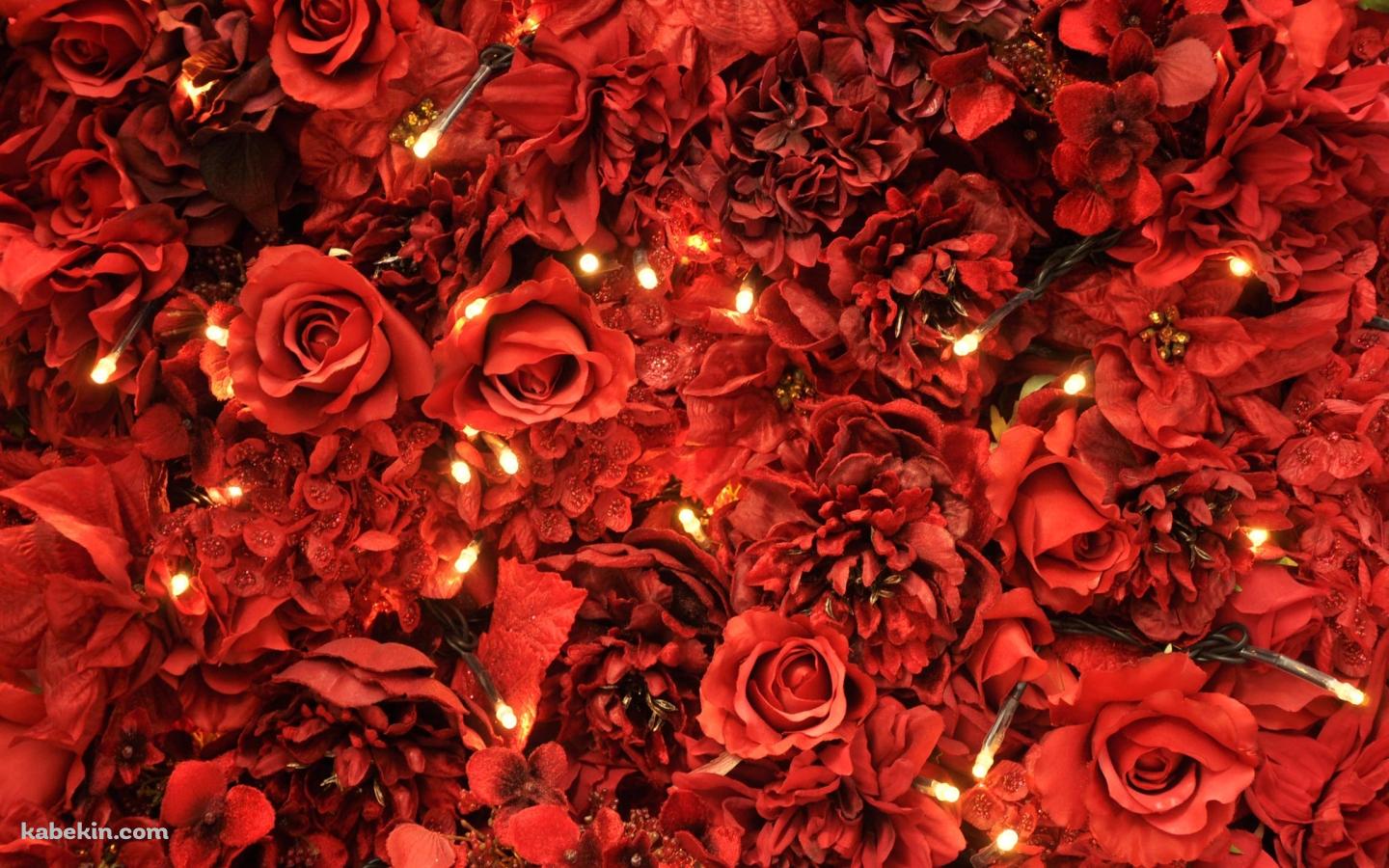 赤い薔薇の絨毯の壁紙(1440px x 900px) 高画質 PC・デスクトップ用