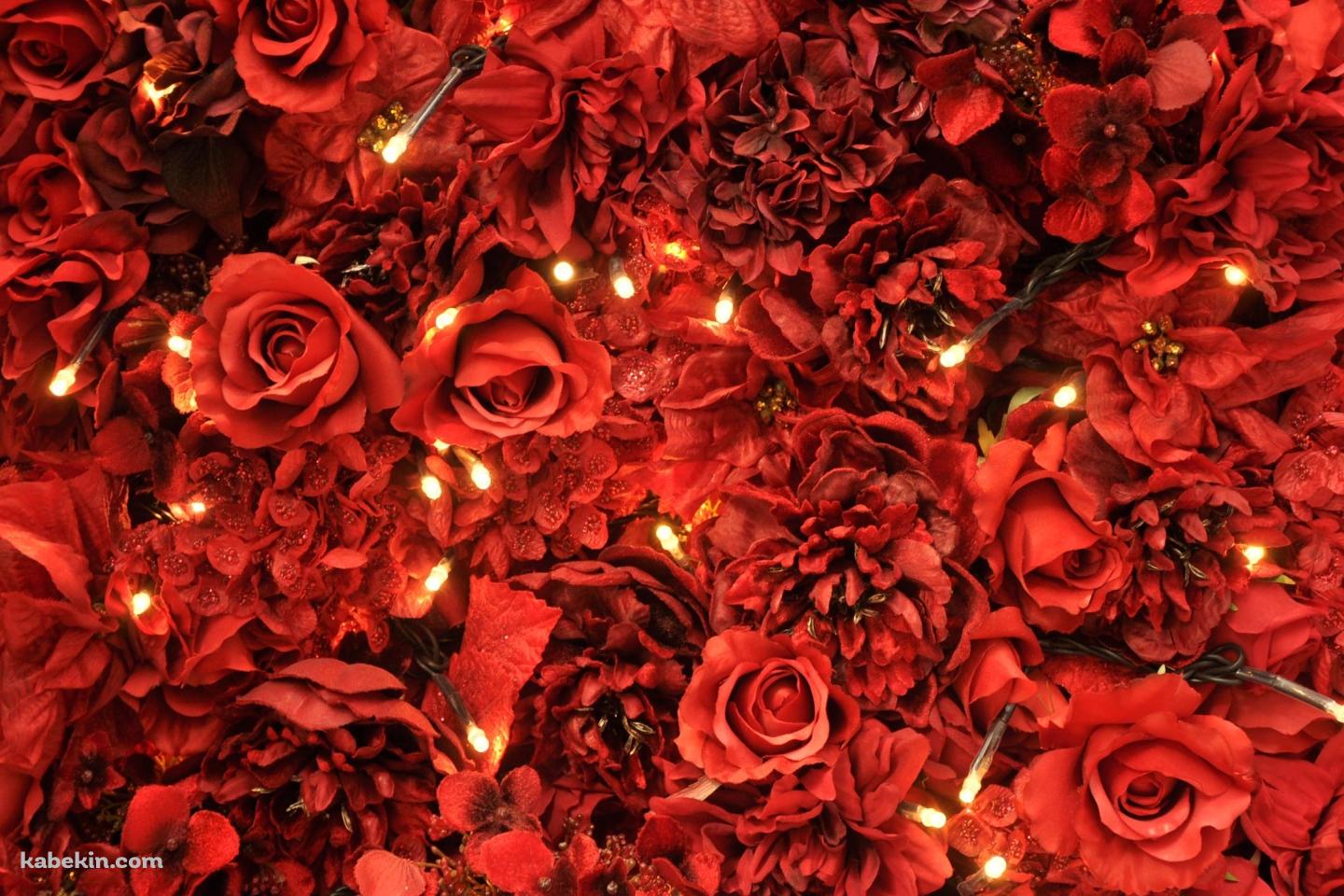 赤い薔薇の絨毯の壁紙(1440px x 960px) 高画質 PC・デスクトップ用