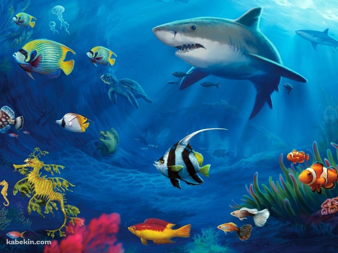 海の生物の壁紙(1152px x 864px) 高画質 PC・デスクトップ用