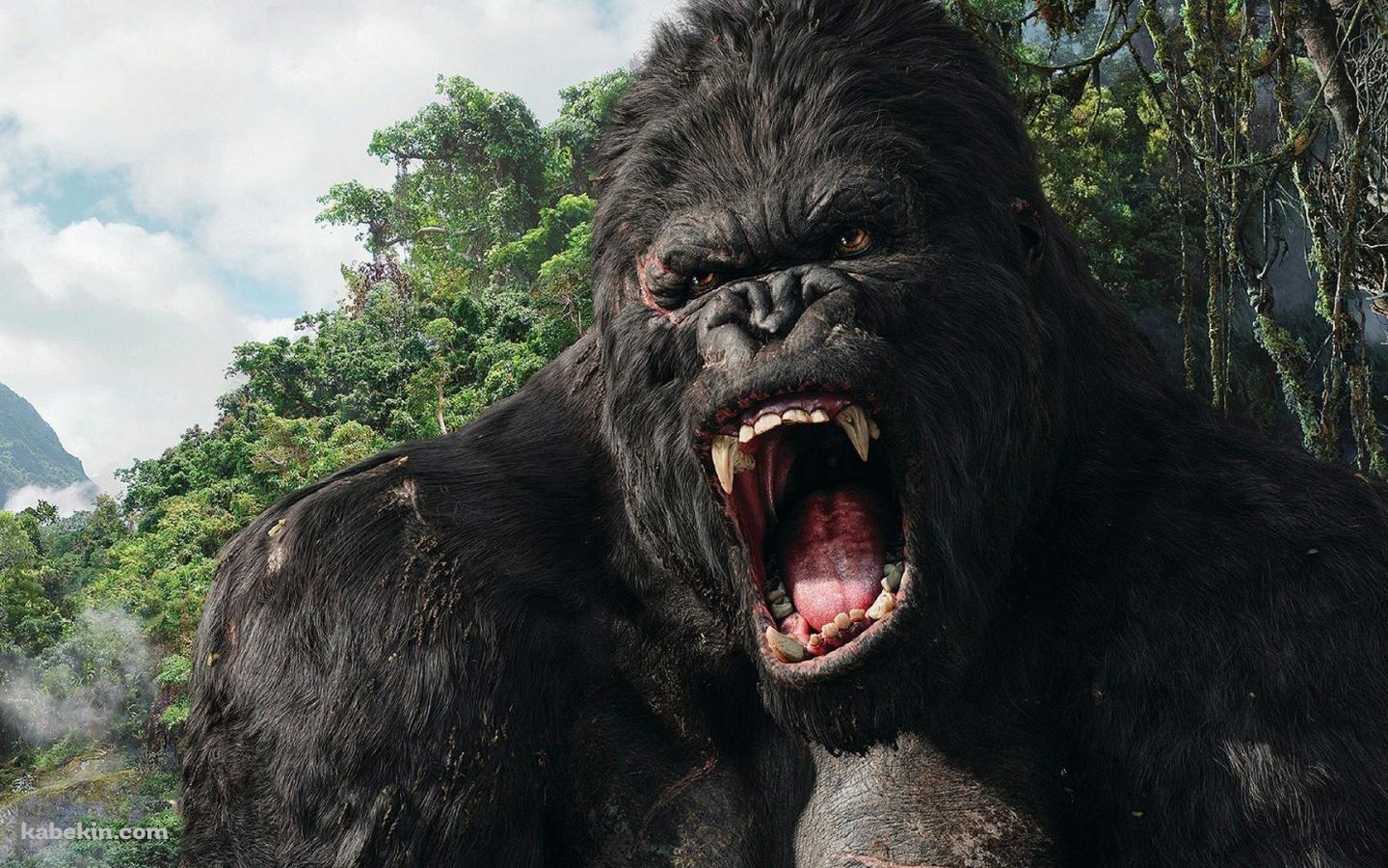 キングコングの壁紙(1440px x 900px) 高画質 PC・デスクトップ用