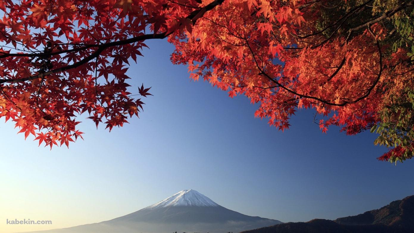 紅葉と富士山の壁紙(1391px x 783px) 高画質 PC・デスクトップ用