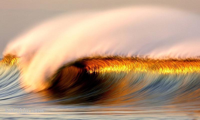 金色の波の壁紙(800px x 480px) 高画質 PC・デスクトップ用
