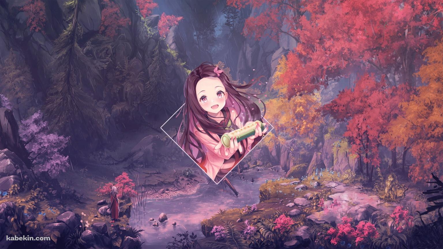 秋の紅葉 鬼滅の刃 かわいい竈門禰豆子の壁紙(1536px x 864px) 高画質 PC・デスクトップ用