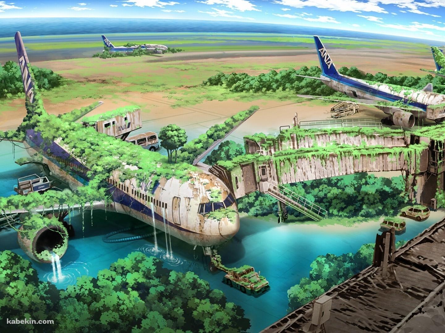 朽ちた飛行機 ANAの壁紙(1440px x 1080px) 高画質 PC・デスクトップ用