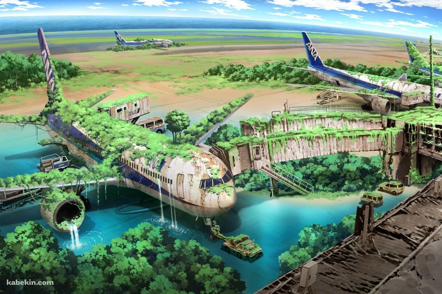 朽ちた飛行機 ANAの壁紙(1440px x 960px) 高画質 PC・デスクトップ用
