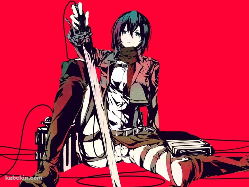 座り込むミカサ・アッカーマン 進撃の巨人の壁紙(1024px x 768px) 高画質 PC・デスクトップ用