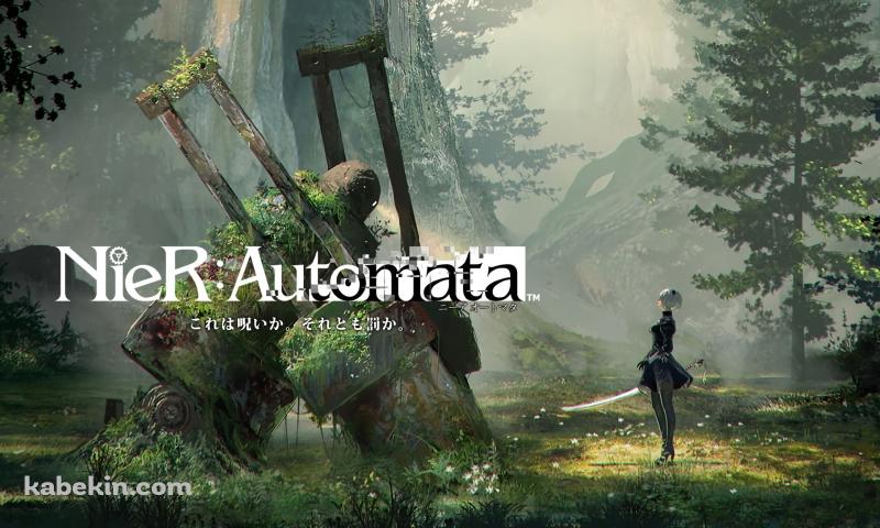 ニーア オートマタの壁紙(800px x 480px) 高画質 PC・デスクトップ用