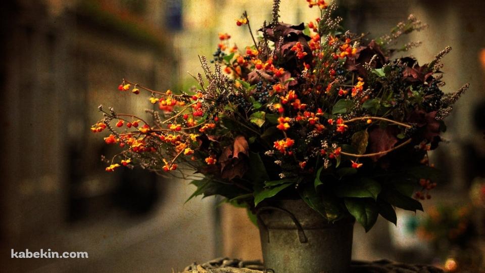 鉢の壁紙(960px x 540px) 高画質 PC・デスクトップ用