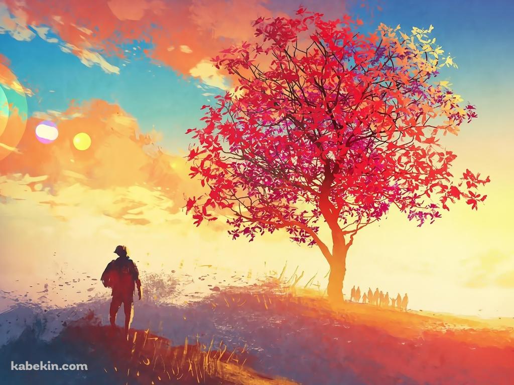 紅葉と人の壁紙(1024px x 768px) 高画質 PC・デスクトップ用