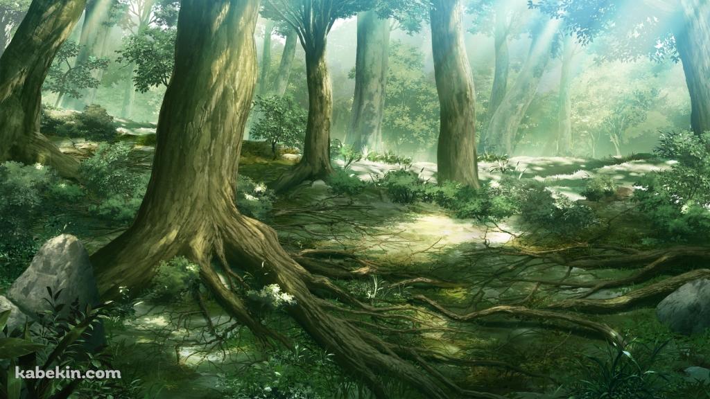 森のイラストの壁紙(1024px x 576px) 高画質 PC・デスクトップ用