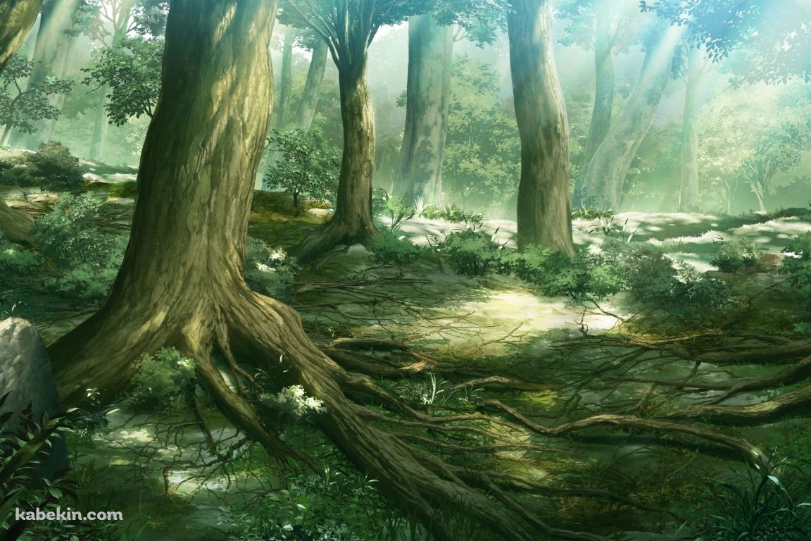 森のイラストの壁紙(1152px x 768px) 高画質 PC・デスクトップ用