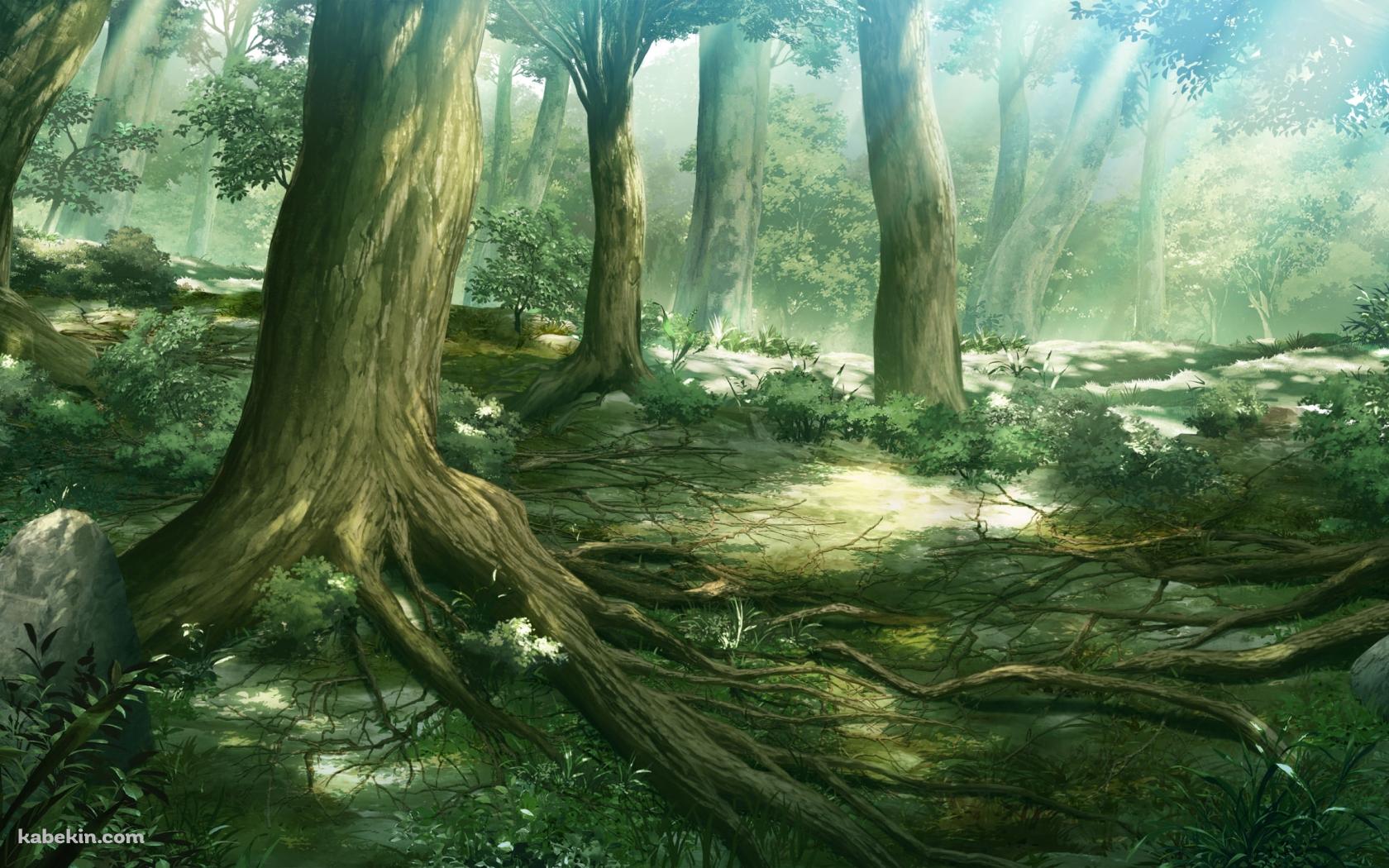 森のイラストの壁紙(1680px x 1050px) 高画質 PC・デスクトップ用
