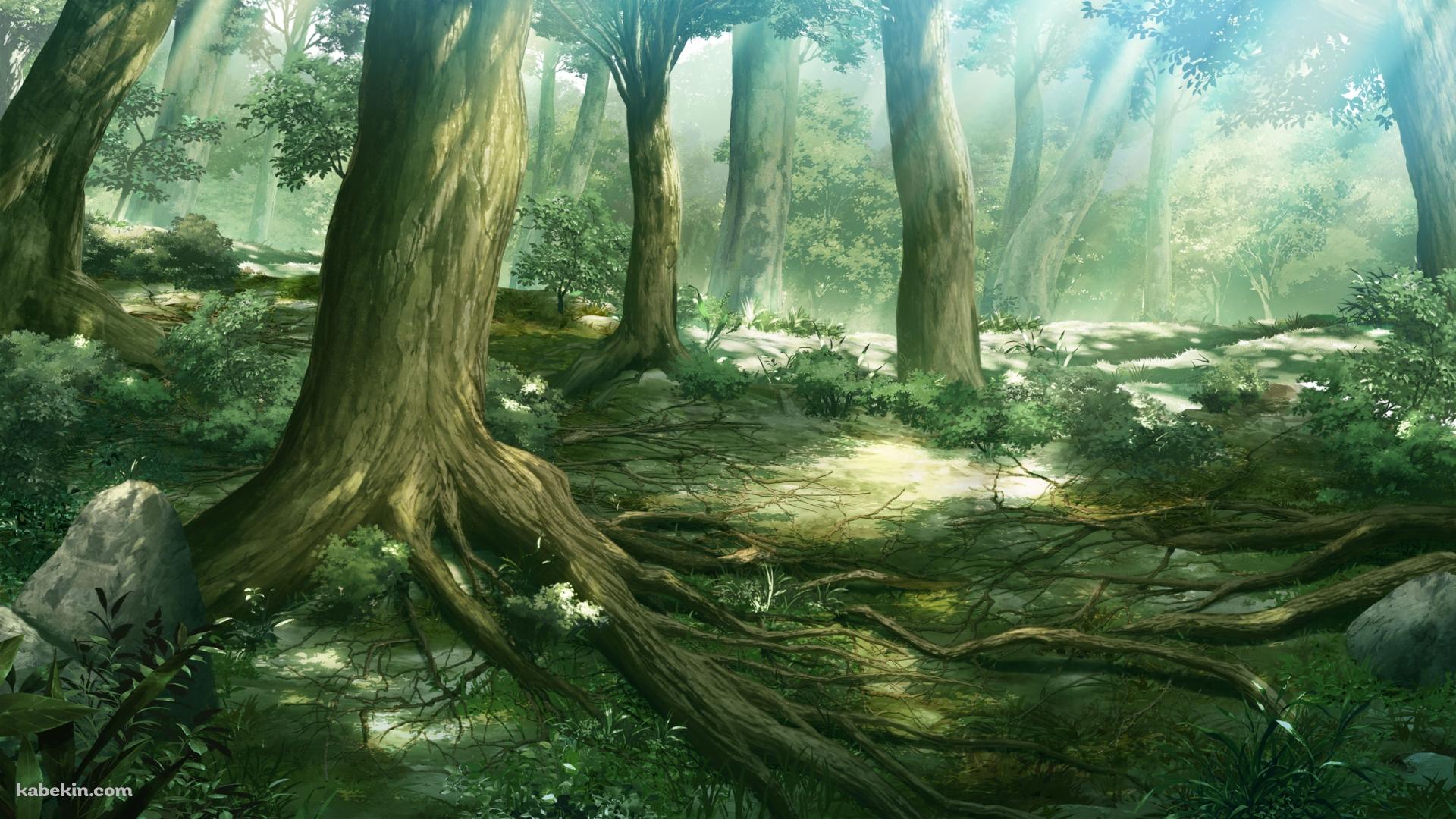 森のイラストの壁紙(1920px x 1080px) 高画質 PC・デスクトップ用
