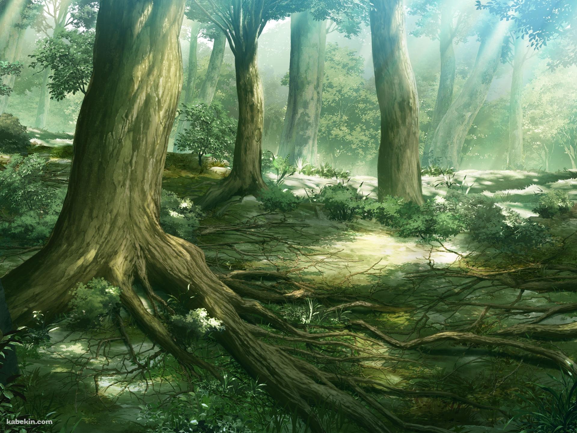 森のイラストの壁紙(1920px x 1440px) 高画質 PC・デスクトップ用