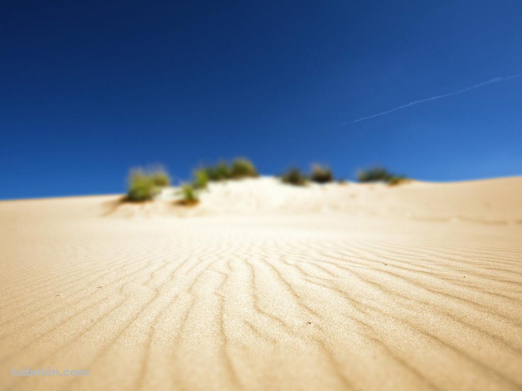 ボヤけた砂漠の景色の壁紙(1024px x 768px) 高画質 PC・デスクトップ用