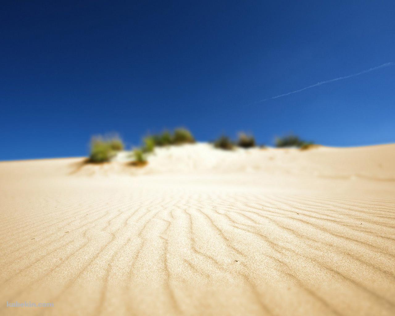 ボヤけた砂漠の景色の壁紙(1280px x 1024px) 高画質 PC・デスクトップ用