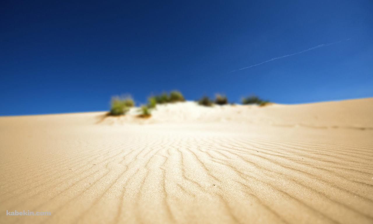 ボヤけた砂漠の景色の壁紙(1280px x 768px) 高画質 PC・デスクトップ用