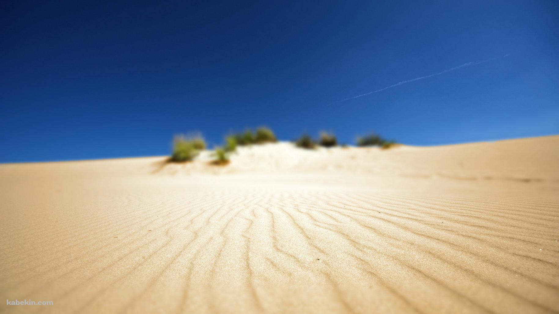 ボヤけた砂漠の景色の壁紙(1829px x 1029px) 高画質 PC・デスクトップ用
