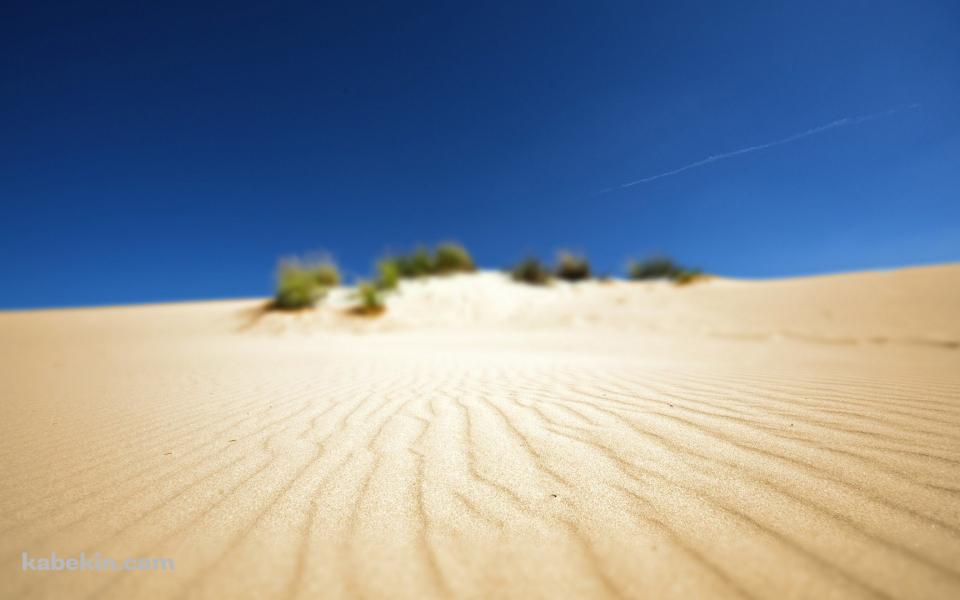 ボヤけた砂漠の景色の壁紙(960px x 600px) 高画質 PC・デスクトップ用