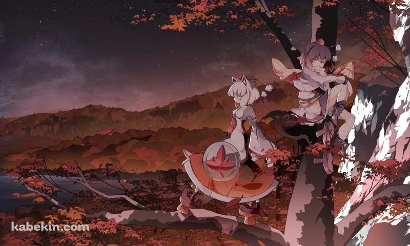 東方 touhou 2の壁紙(800px x 480px) 高画質 PC・デスクトップ用
