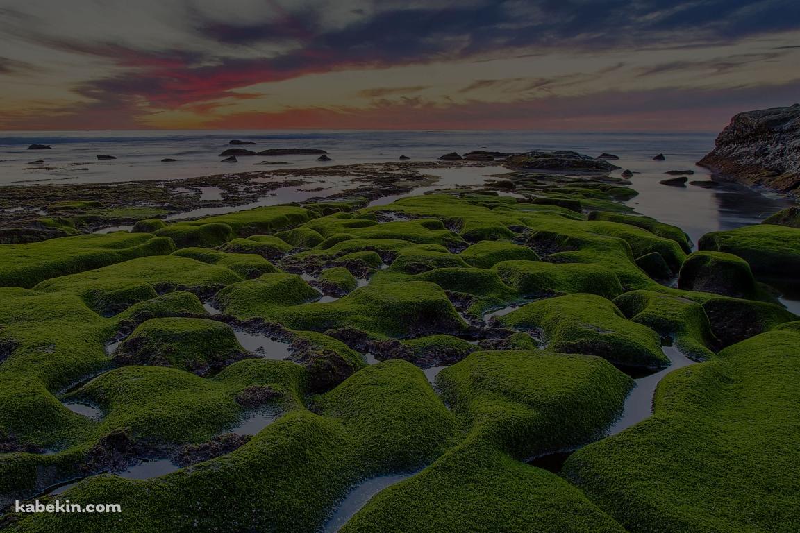 苔が生えた海岸の壁紙(1152px x 768px) 高画質 PC・デスクトップ用