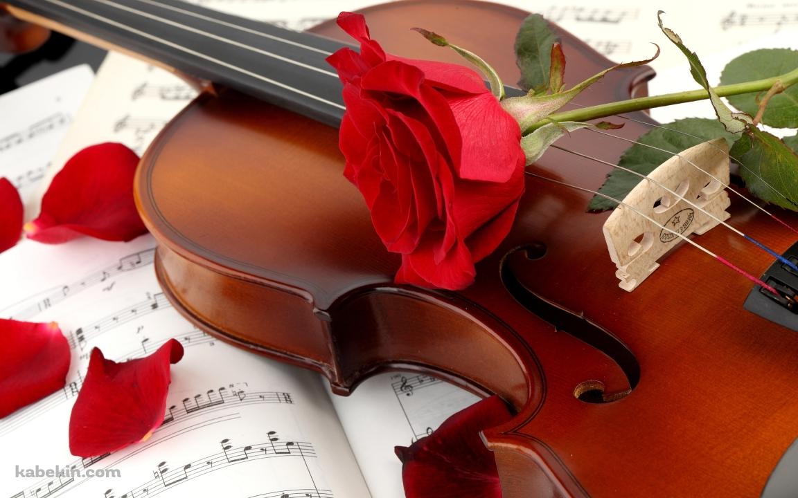 バイオリンと赤い薔薇の壁紙(1152px x 720px) 高画質 PC・デスクトップ用