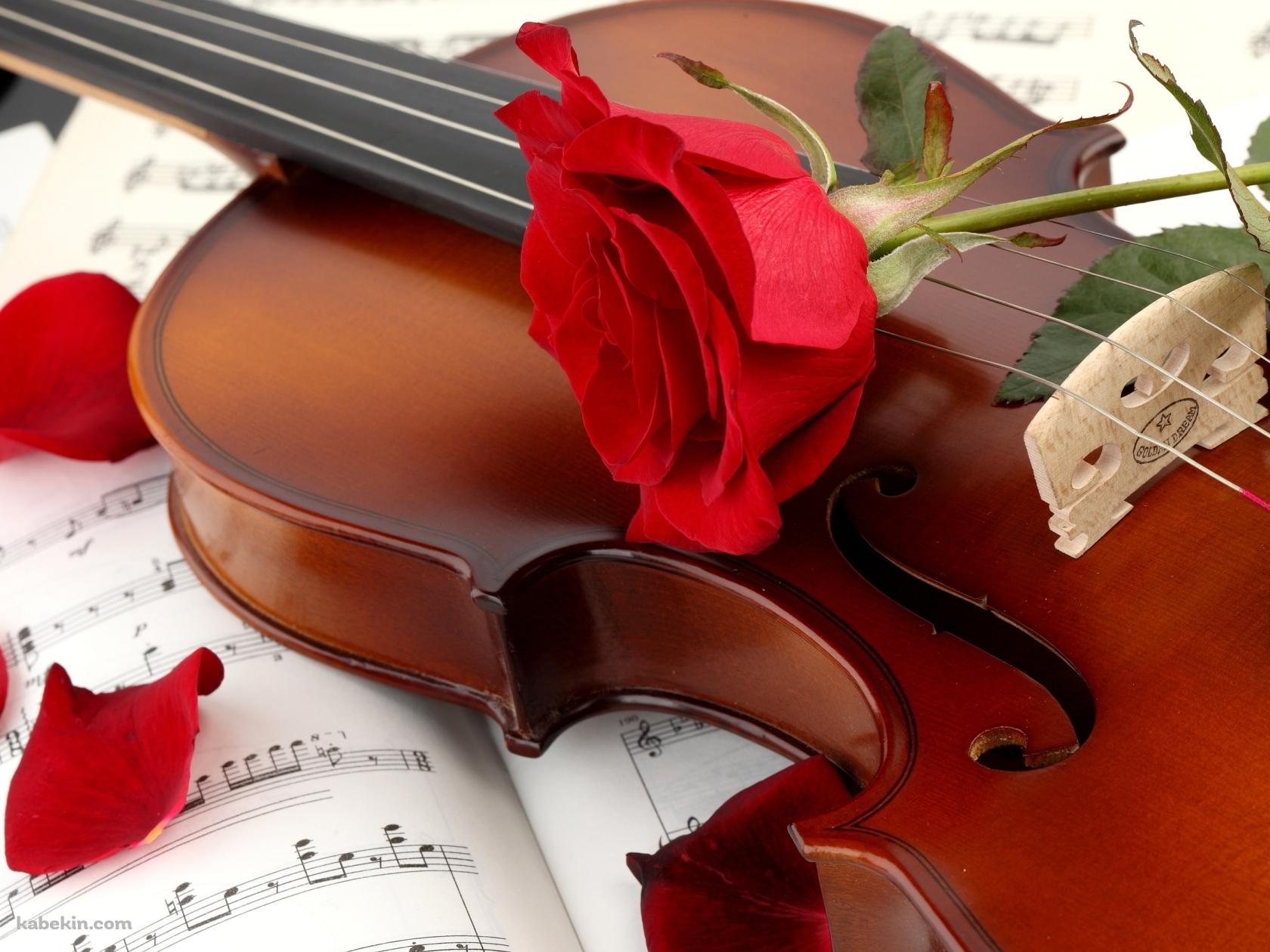 バイオリンと赤い薔薇の壁紙(1680px x 1260px) 高画質 PC・デスクトップ用