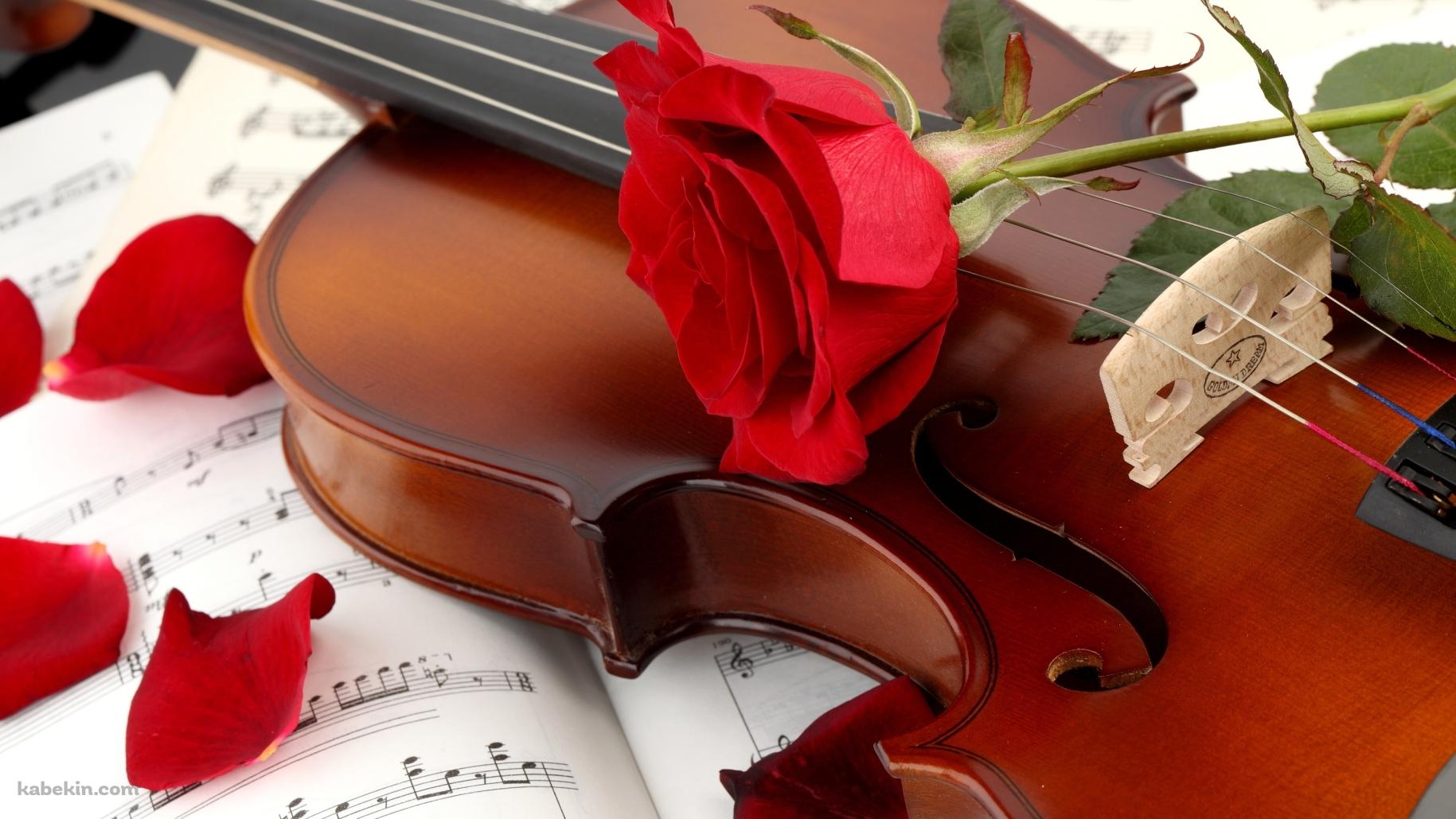 バイオリンと赤い薔薇の壁紙(1829px x 1029px) 高画質 PC・デスクトップ用