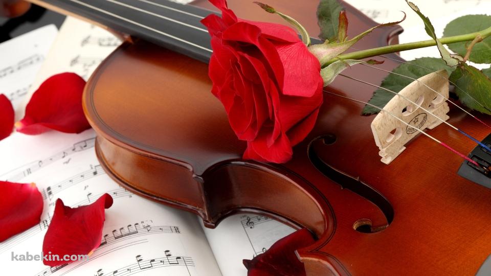 バイオリンと赤い薔薇の壁紙(960px x 540px) 高画質 PC・デスクトップ用