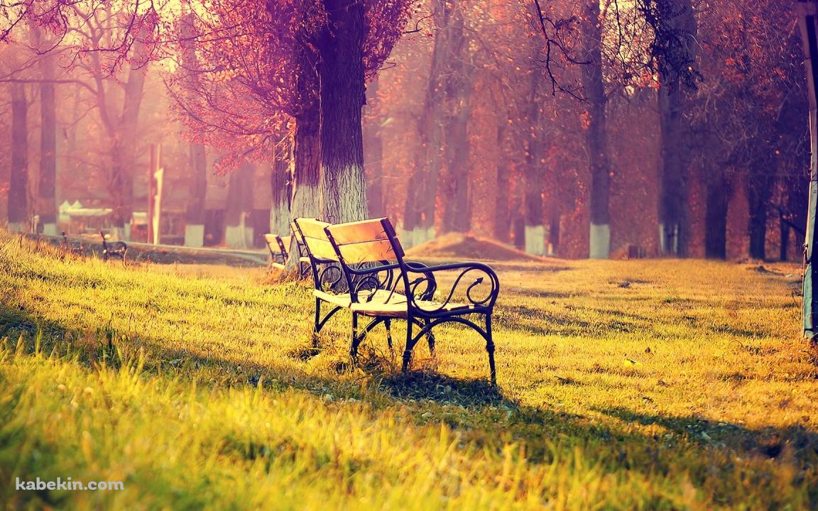 公園のベンチの壁紙(1152px x 720px) 高画質 PC・デスクトップ用