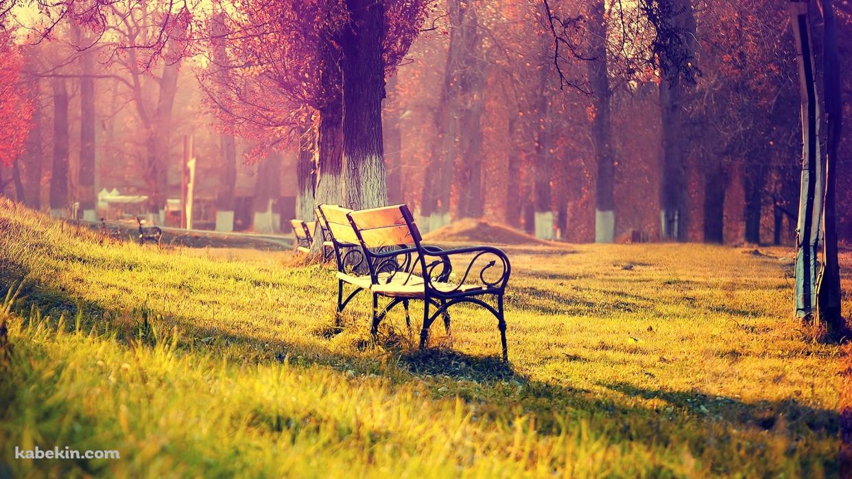 公園のベンチの壁紙(1242px x 698px) 高画質 PC・デスクトップ用