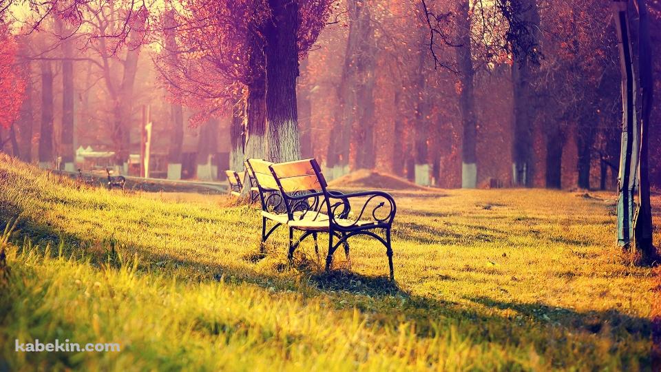 公園のベンチの壁紙(960px x 540px) 高画質 PC・デスクトップ用
