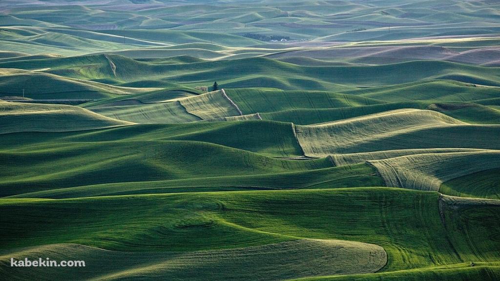 なだらかな緑の丘陵の壁紙(1024px x 576px) 高画質 PC・デスクトップ用