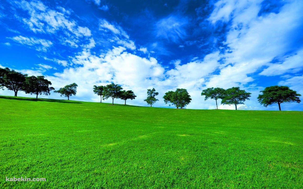 絶景 緑の草原と青い空の壁紙(1152px x 720px) 高画質 PC・デスクトップ用