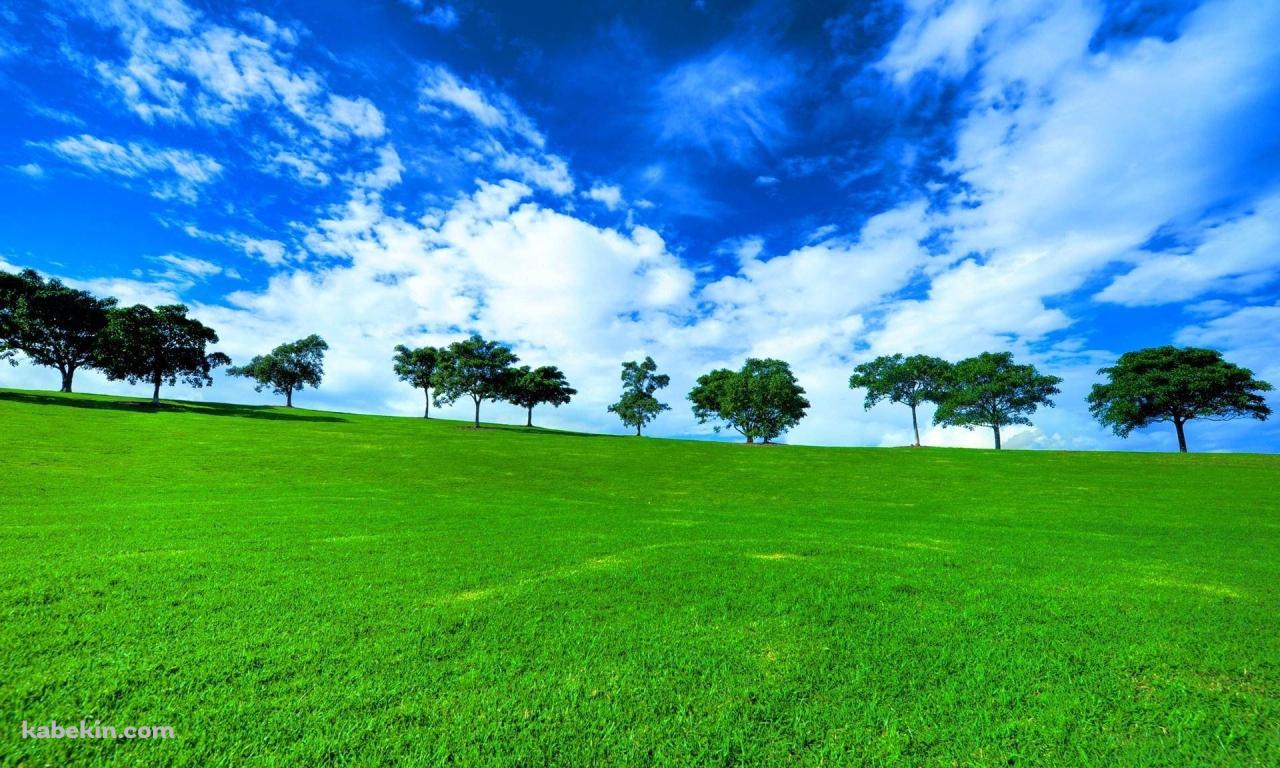 絶景 緑の草原と青い空の壁紙(1280px x 768px) 高画質 PC・デスクトップ用