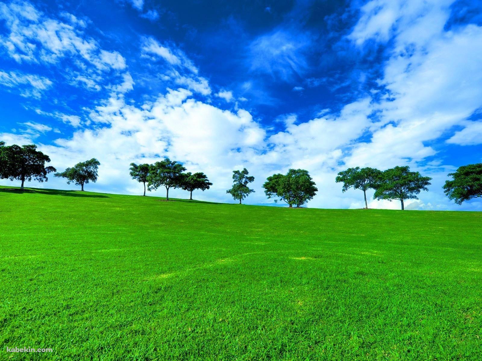 絶景 緑の草原と青い空の壁紙(1600px x 1200px) 高画質 PC・デスクトップ用