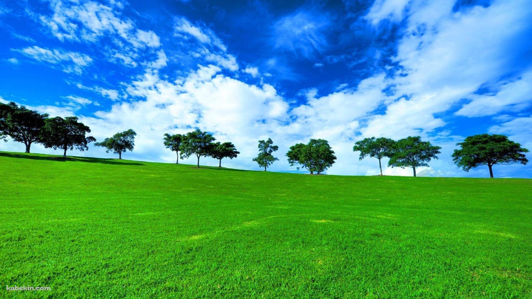 絶景 緑の草原と青い空の壁紙(1829px x 1029px) 高画質 PC・デスクトップ用