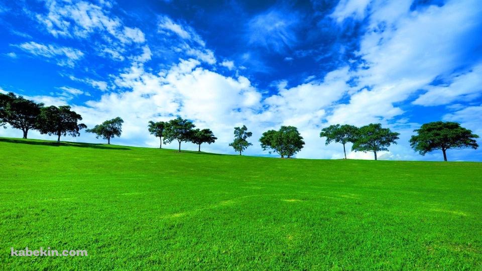絶景 緑の草原と青い空の壁紙(960px x 540px) 高画質 PC・デスクトップ用